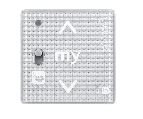 Somfy Smoove RS100 IO Silver