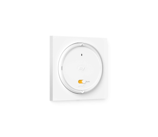 Somfy Amy 1 A/M Modes io Pure