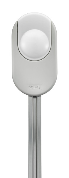 Somfy Dexxo Smart 800 io
